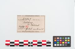 Etiketten zu Bronzegehängehalbmondfibel (NHMW-PRAE-023947)